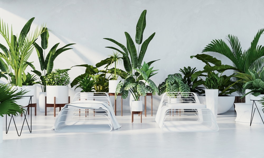 Интерьер и растения: 11 идеальных сочетаний для любого стиля